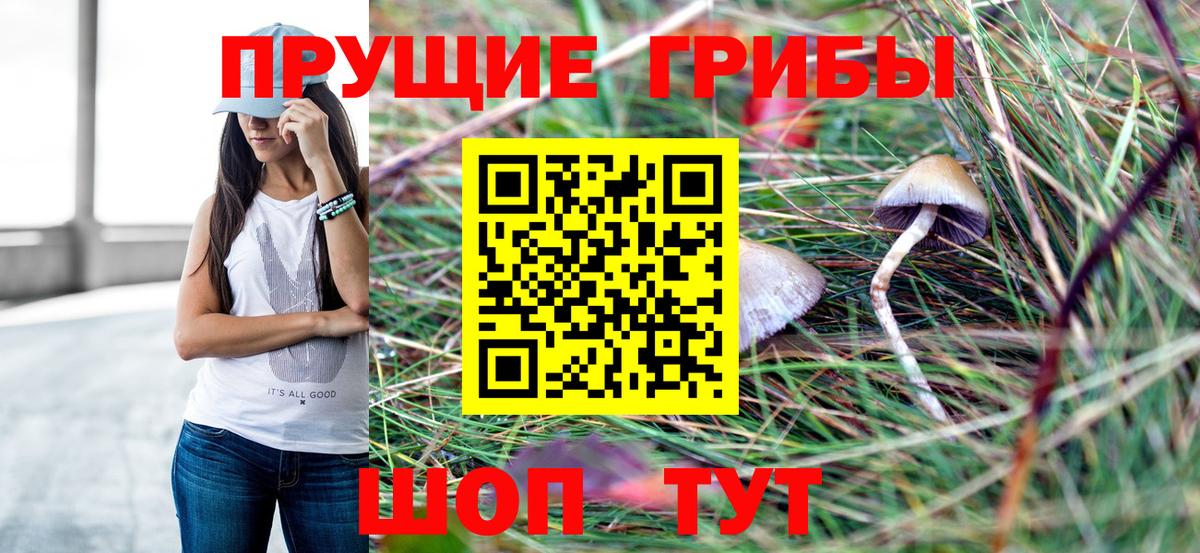 Зеленогорск  Псилоцибиновые грибы мухоморы  Псилоцибиновые грибы Cubensis  Вход с VPN 
