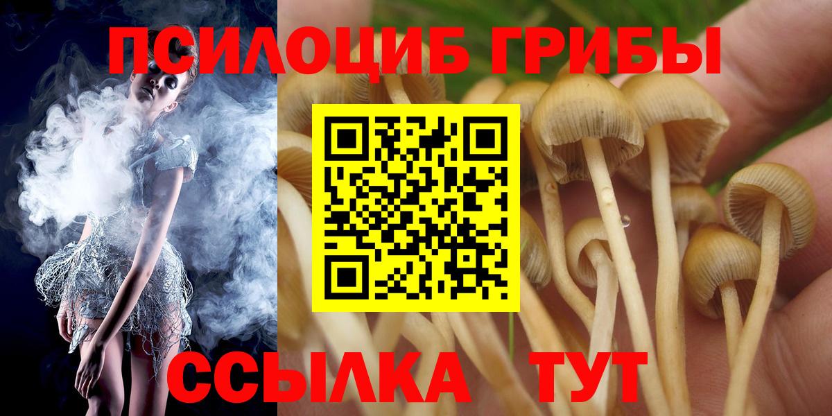 Псилоцибиновые грибы мухоморы Зеленогорск