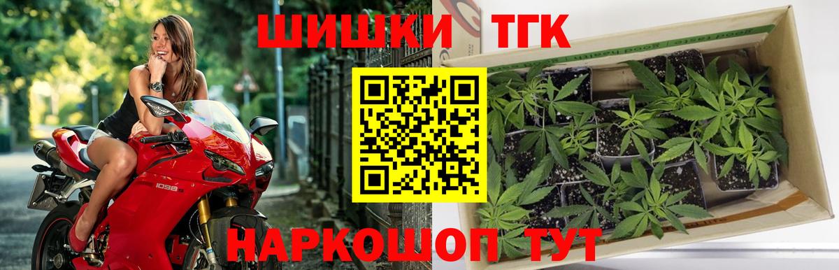 Бошки марихуана сатива Зеленогорск